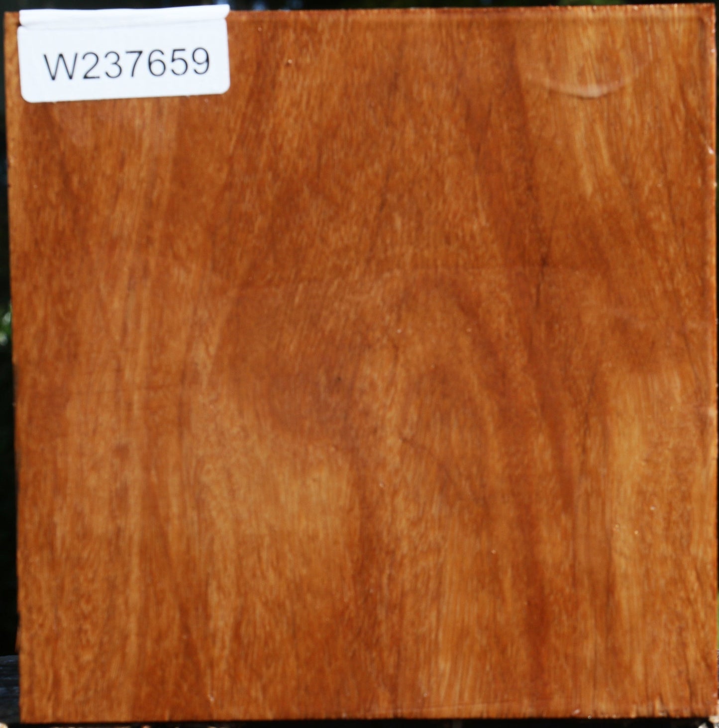 Red Cumaru Bowl Blank