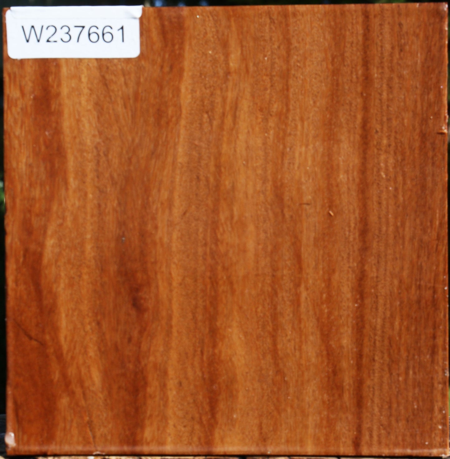 Red Cumaru Bowl Blank