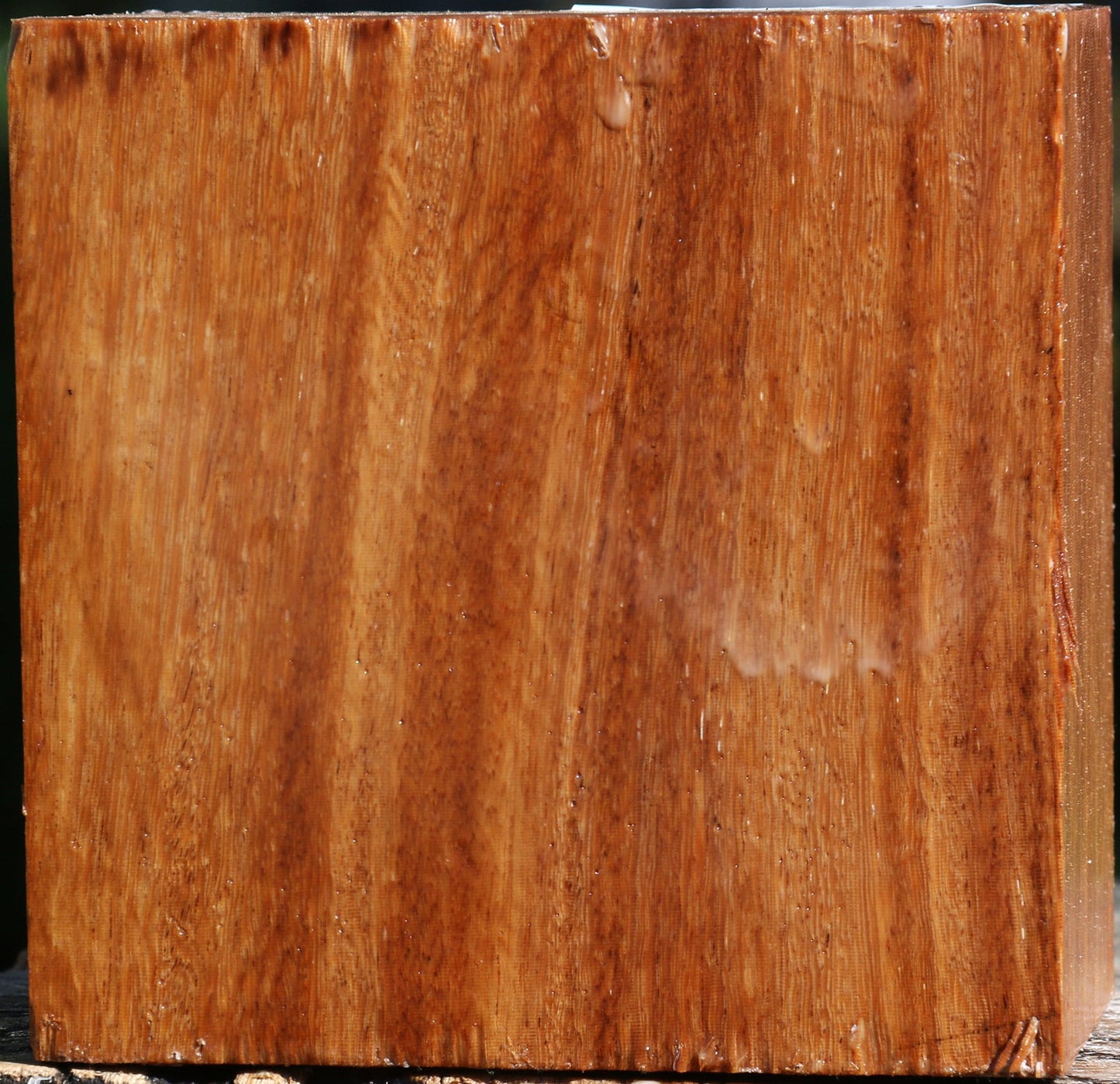 Red Cumaru Bowl Blank