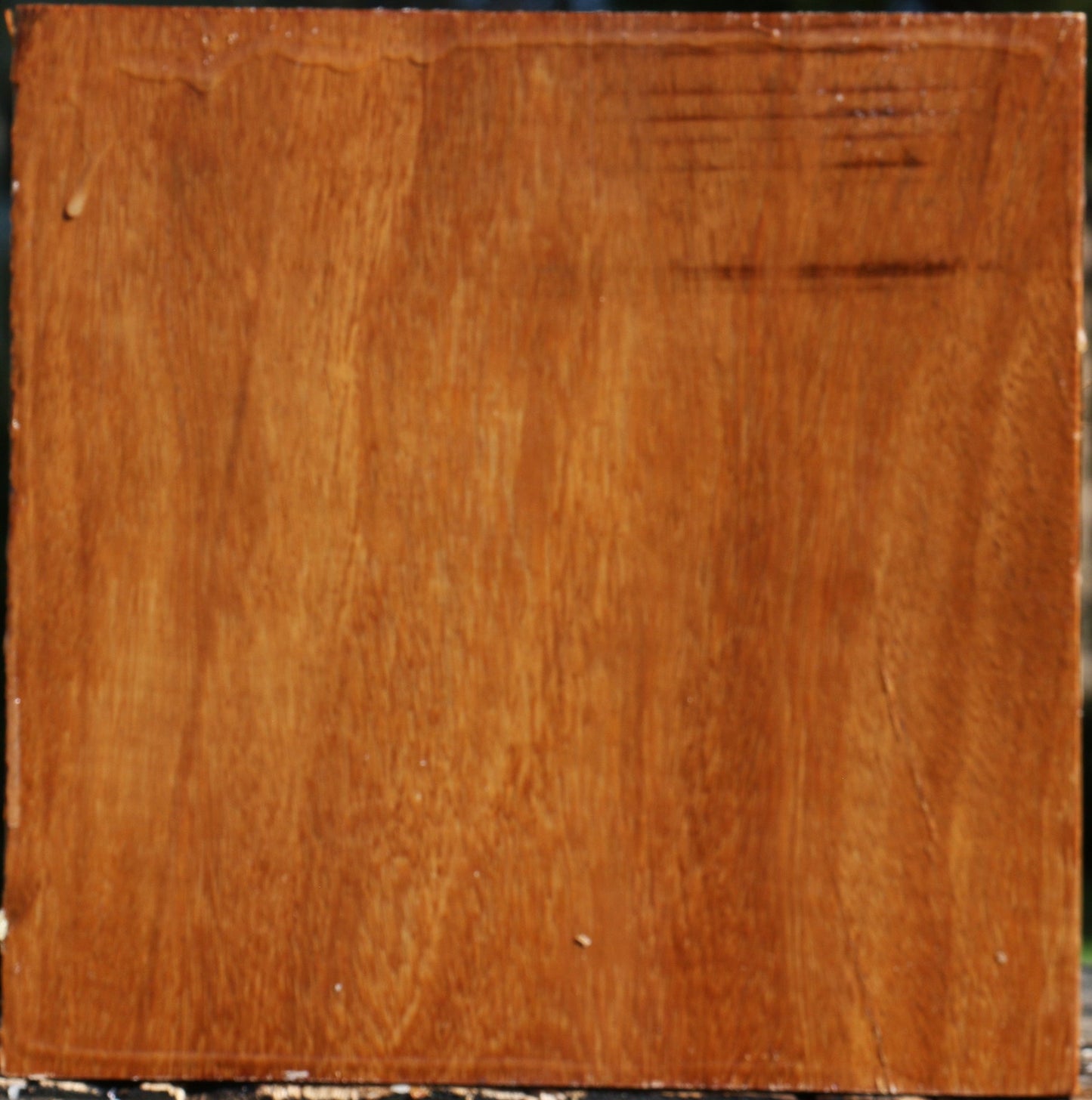 Red Cumaru Bowl Blank