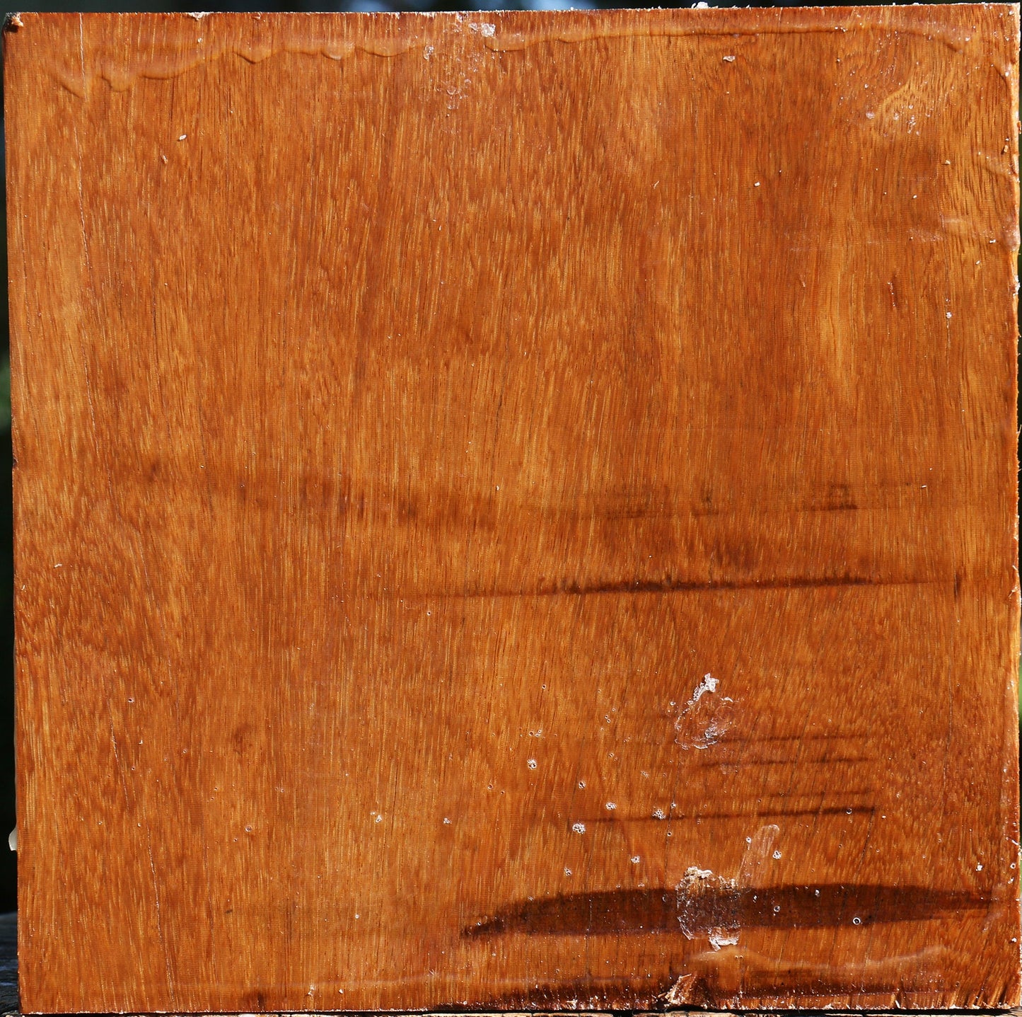 Red Cumaru Bowl Blank