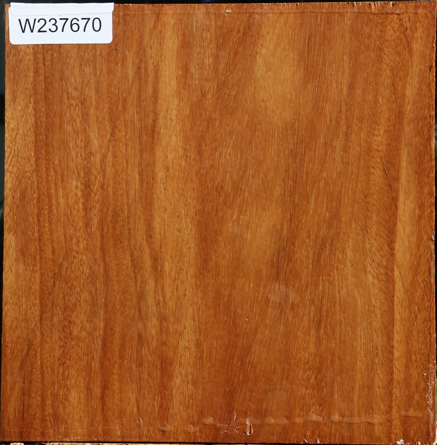 Red Cumaru Bowl Blank