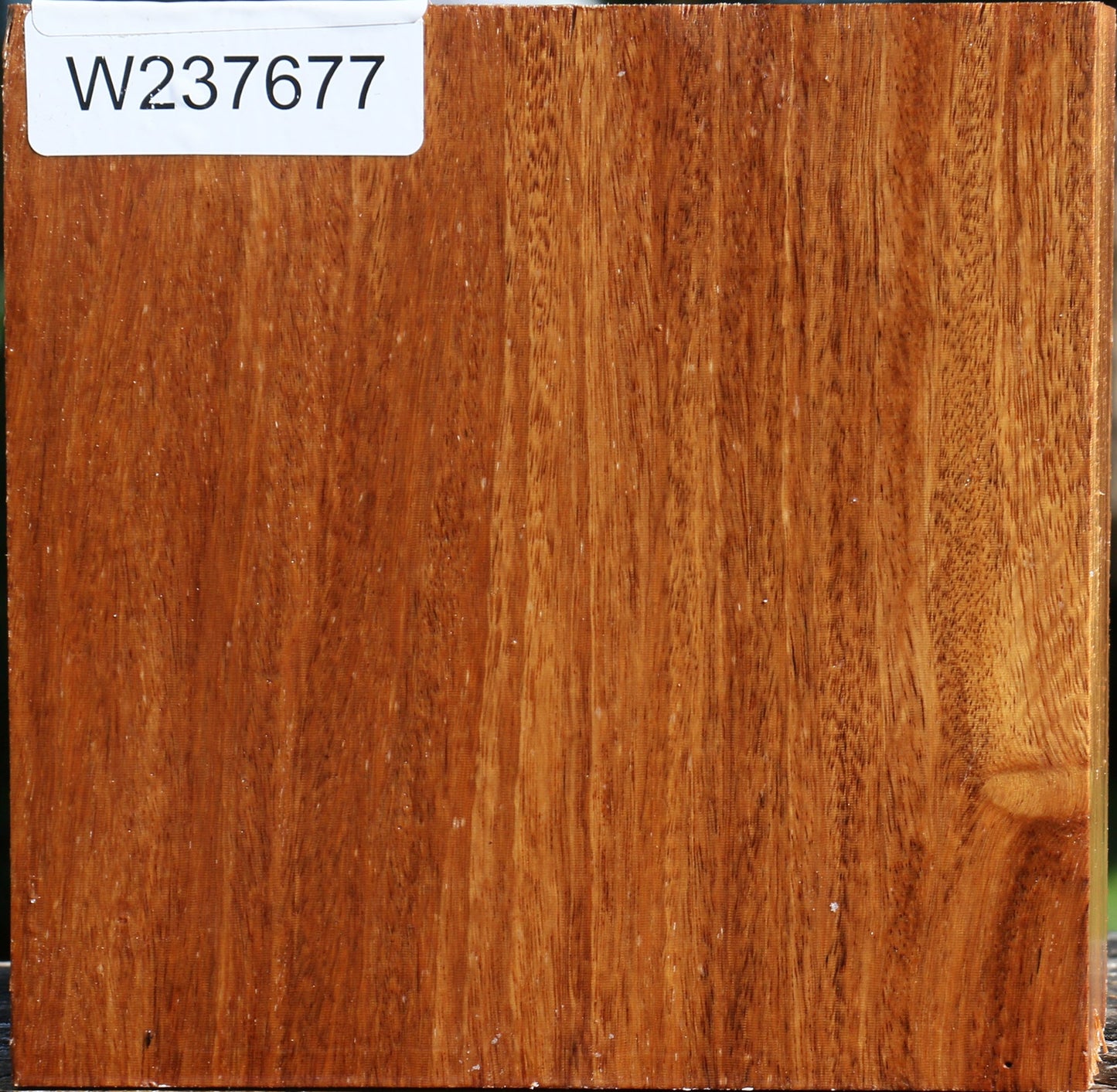 Red Cumaru Bowl Blank