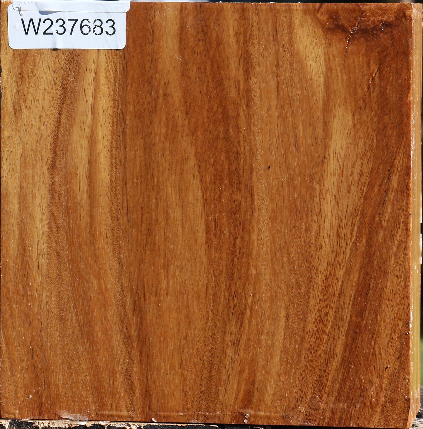 Red Cumaru Bowl Blank