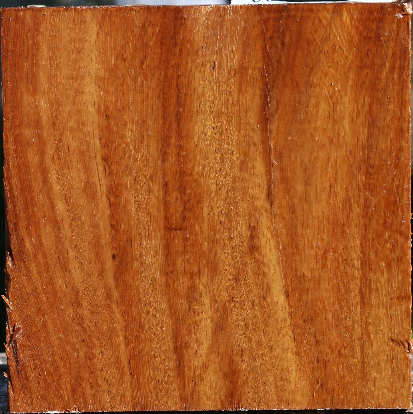 Red Cumaru Bowl Blank