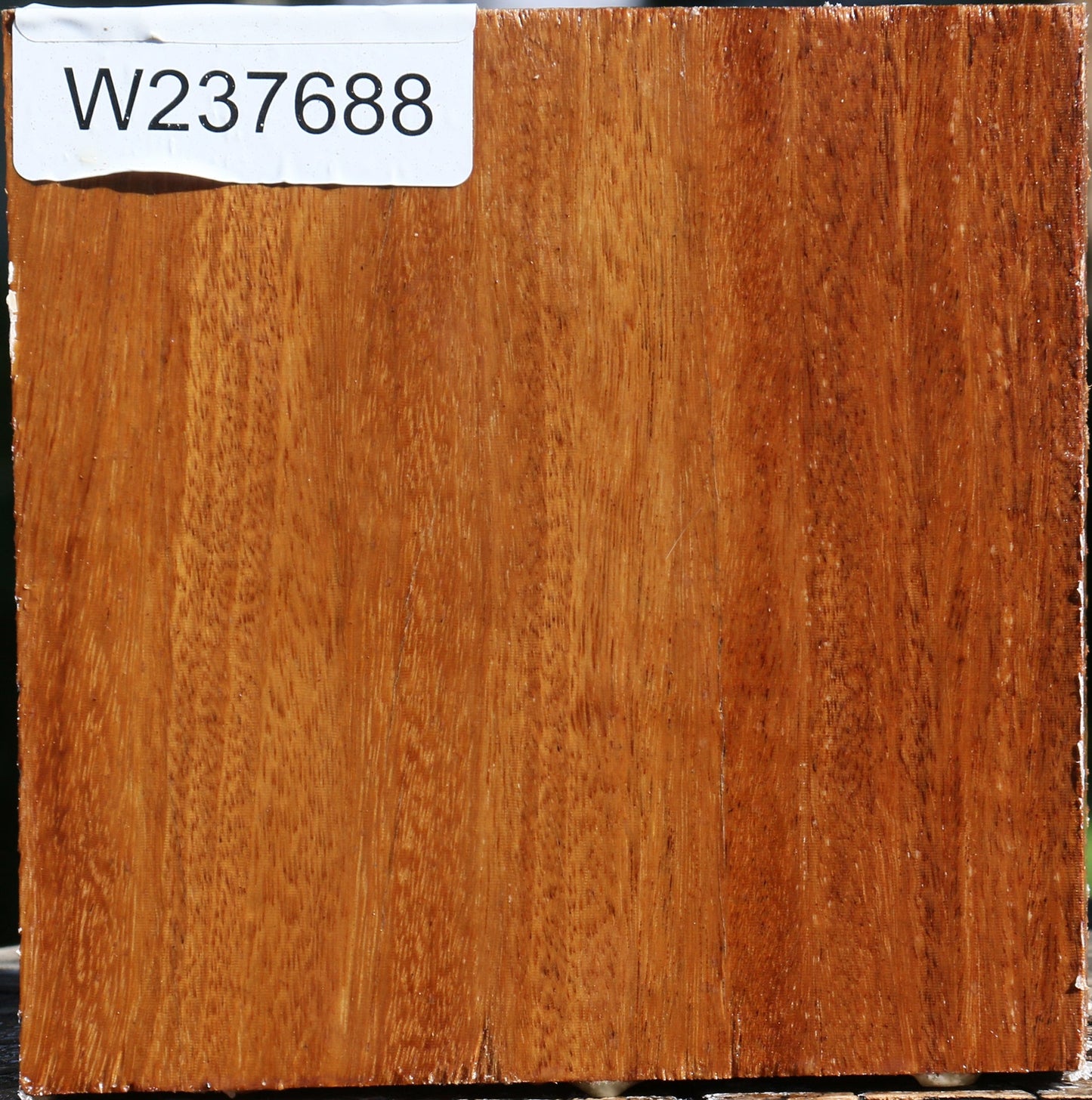 Red Cumaru Bowl Blank