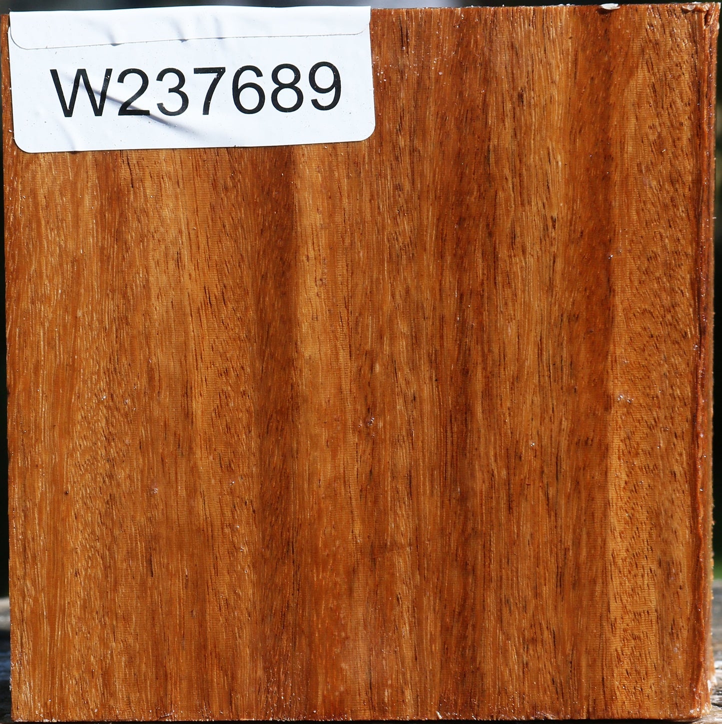 Red Cumaru Bowl Blank