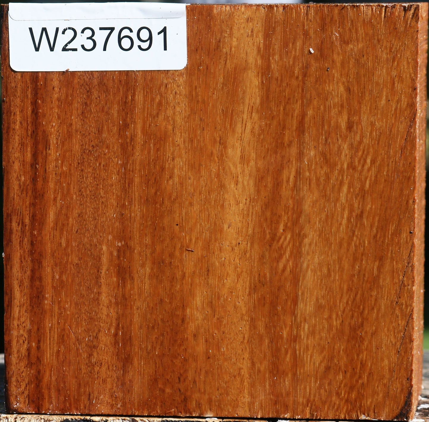 Red Cumaru Bowl Blank