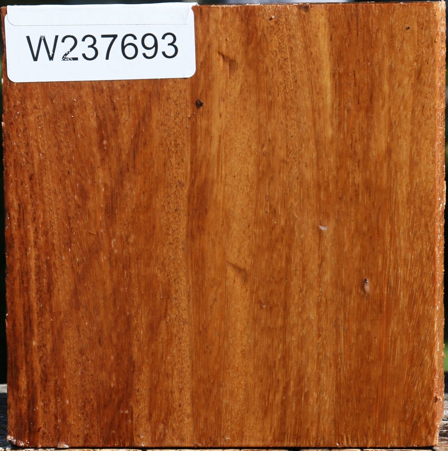 Red Cumaru Bowl Blank