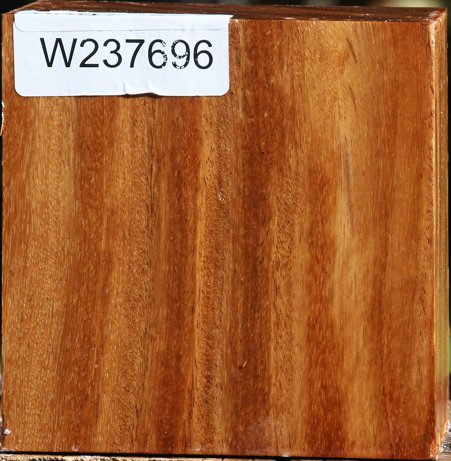 Red Cumaru Bowl Blank