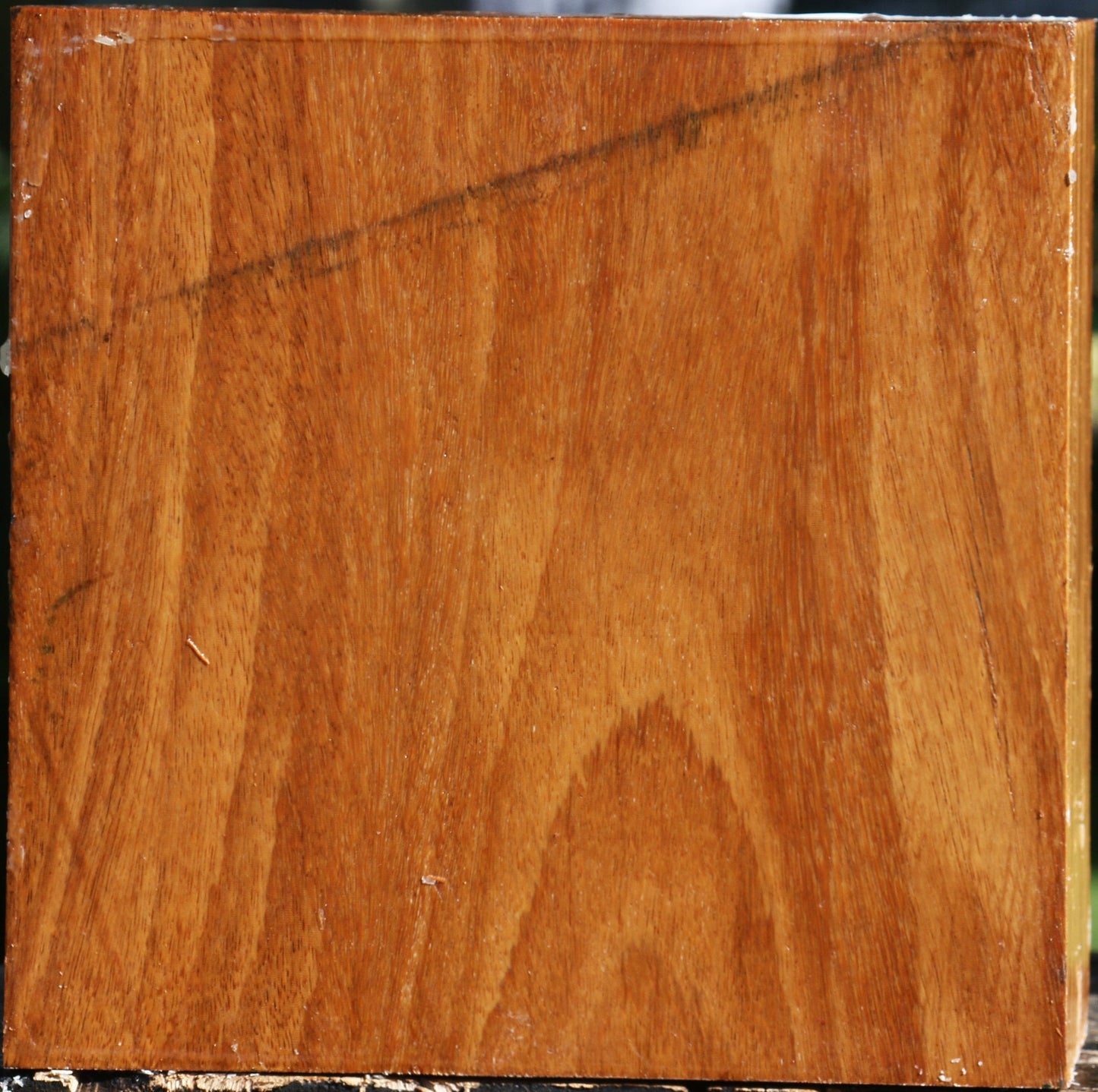 Red Cumaru Bowl Blank