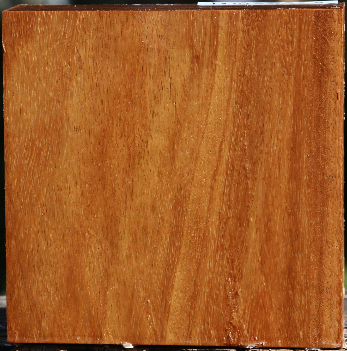 Red Cumaru Bowl Blank