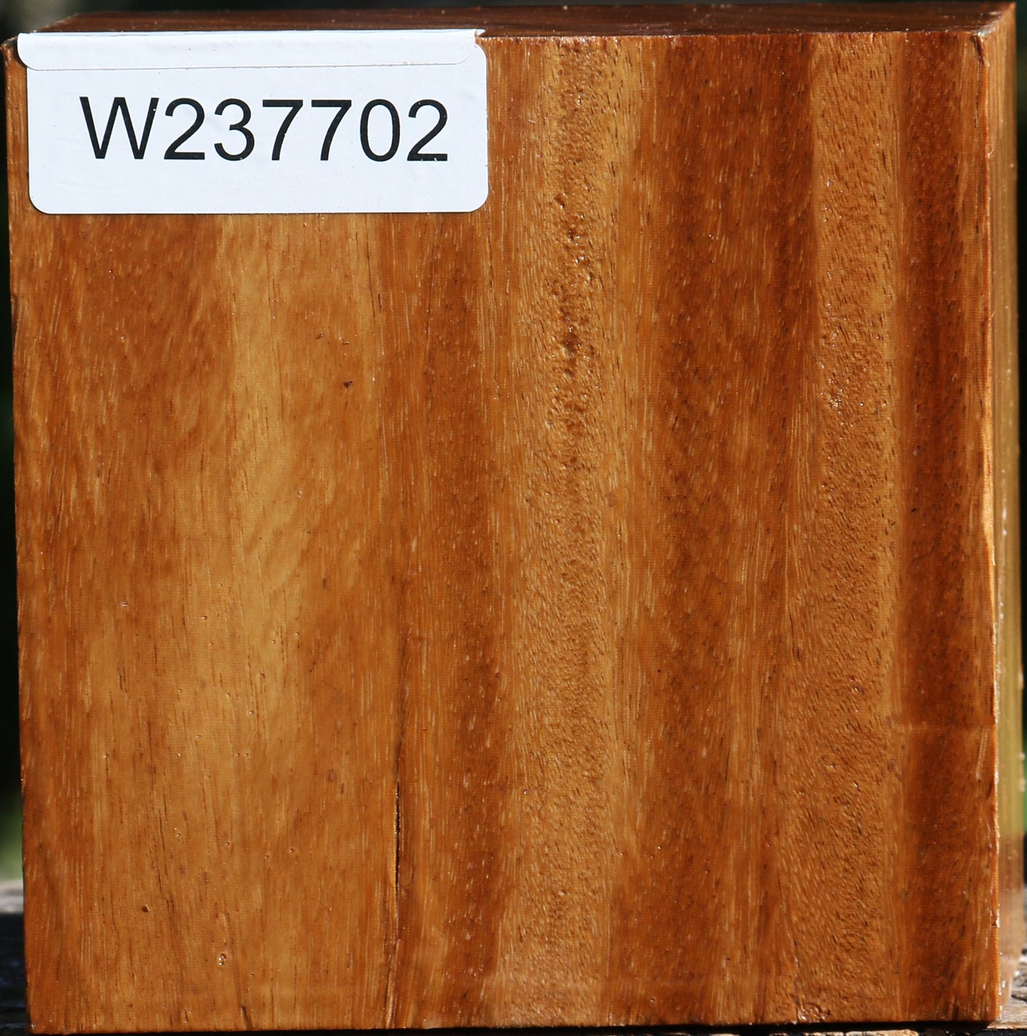 Red Cumaru Bowl Blank