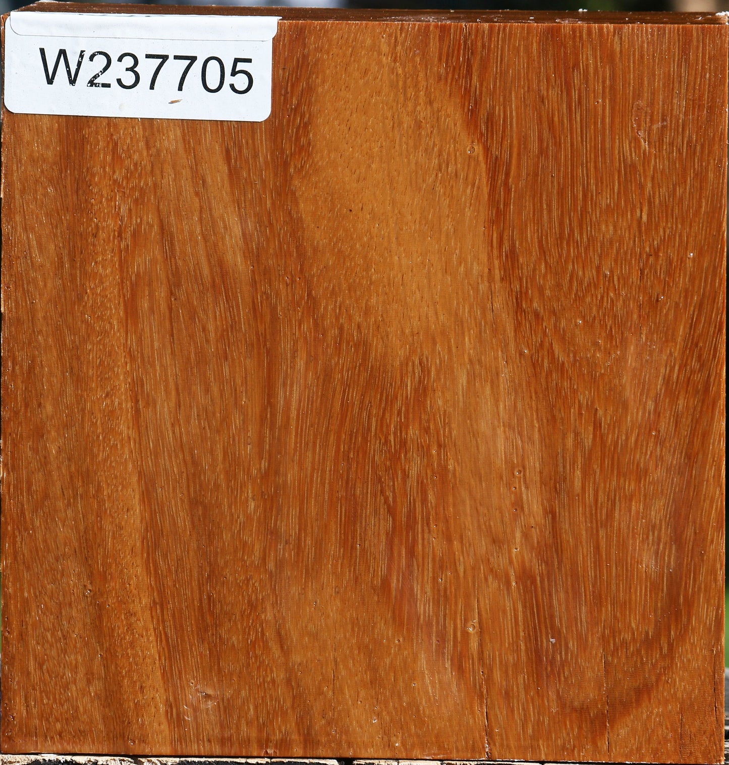 Red Cumaru Bowl Blank