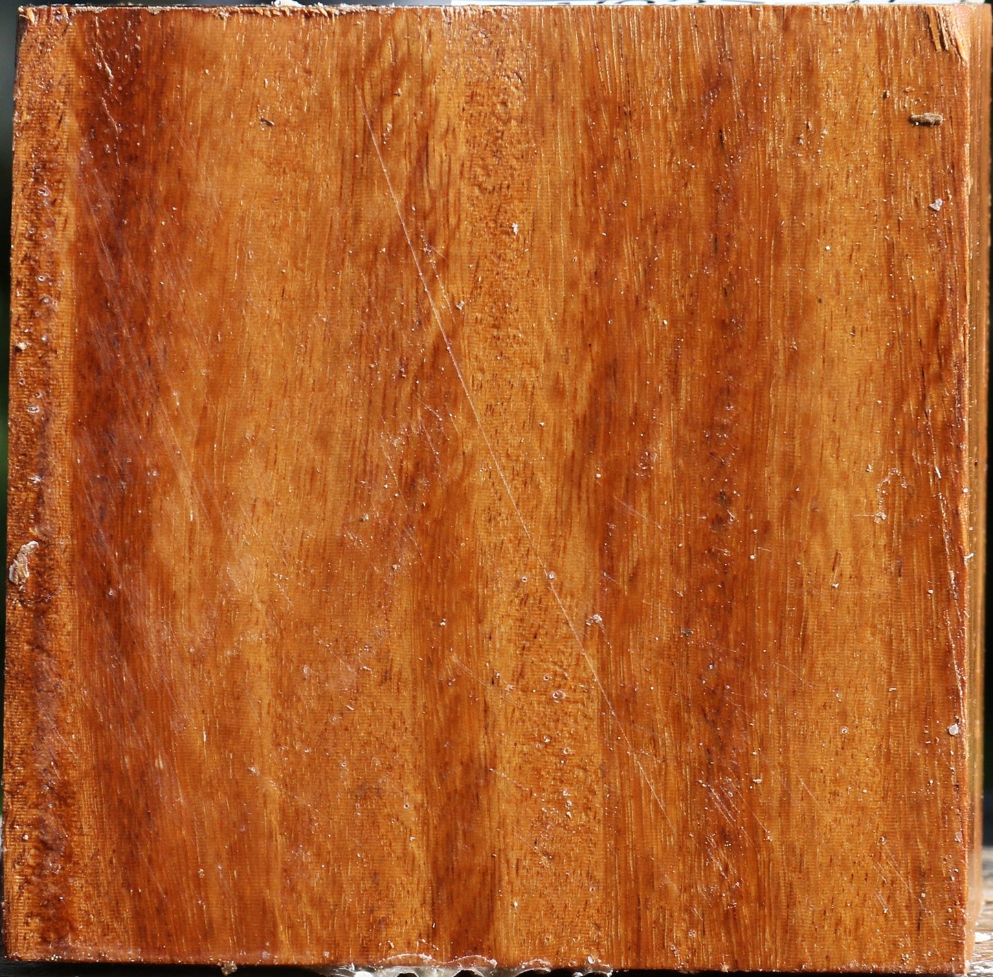 Red Cumaru Bowl Blank