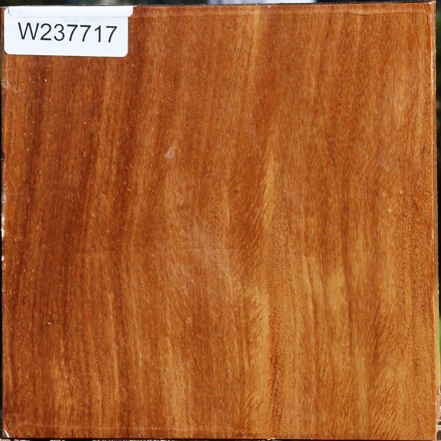 Red Cumaru Bowl Blank