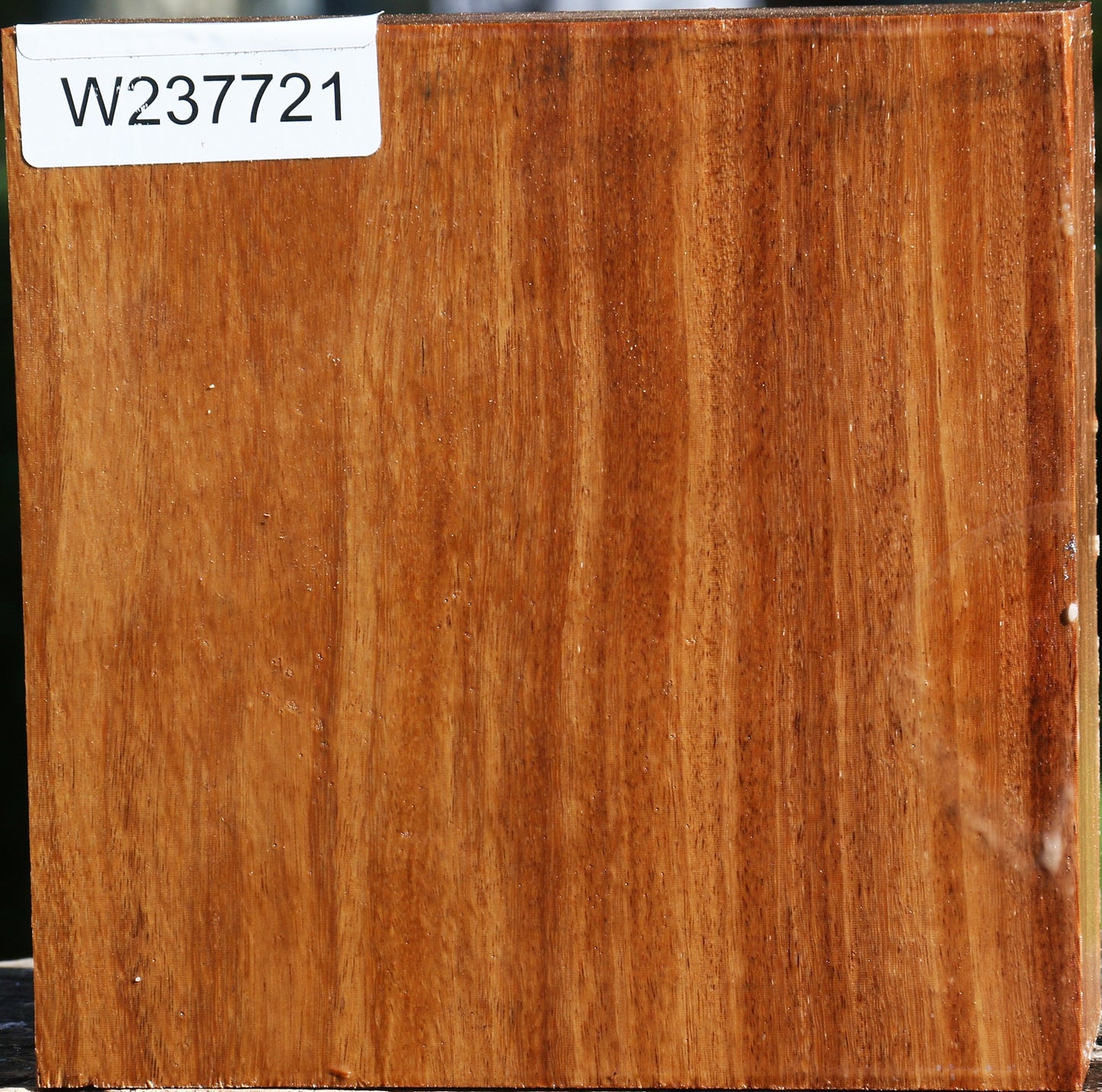 Red Cumaru Bowl Blank