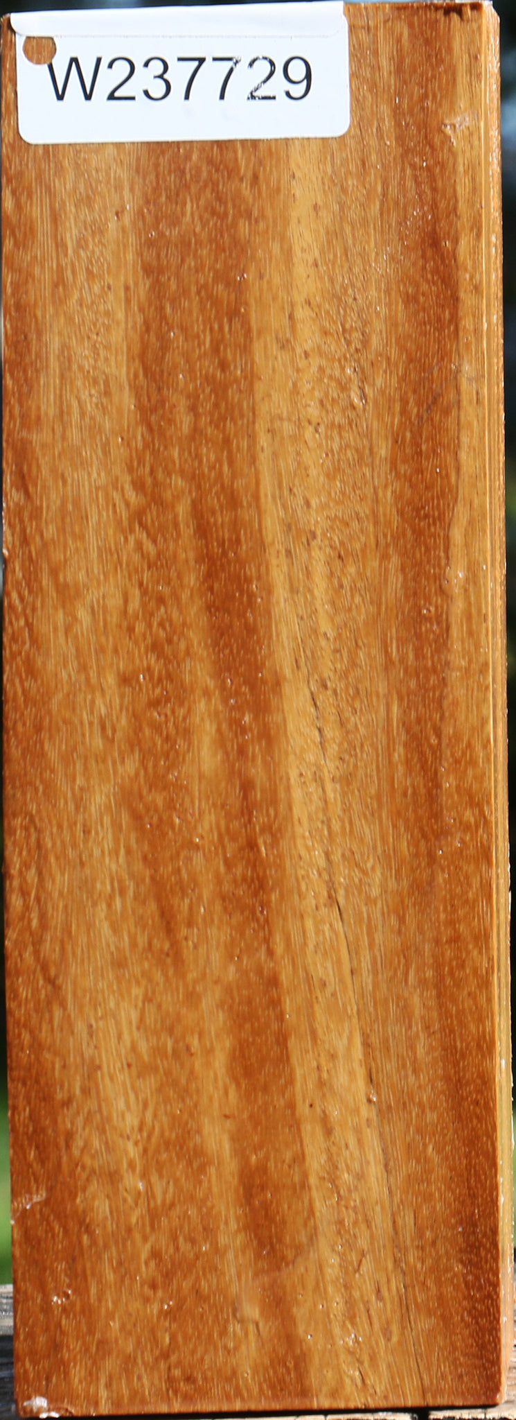 Red Cumaru Peppermill