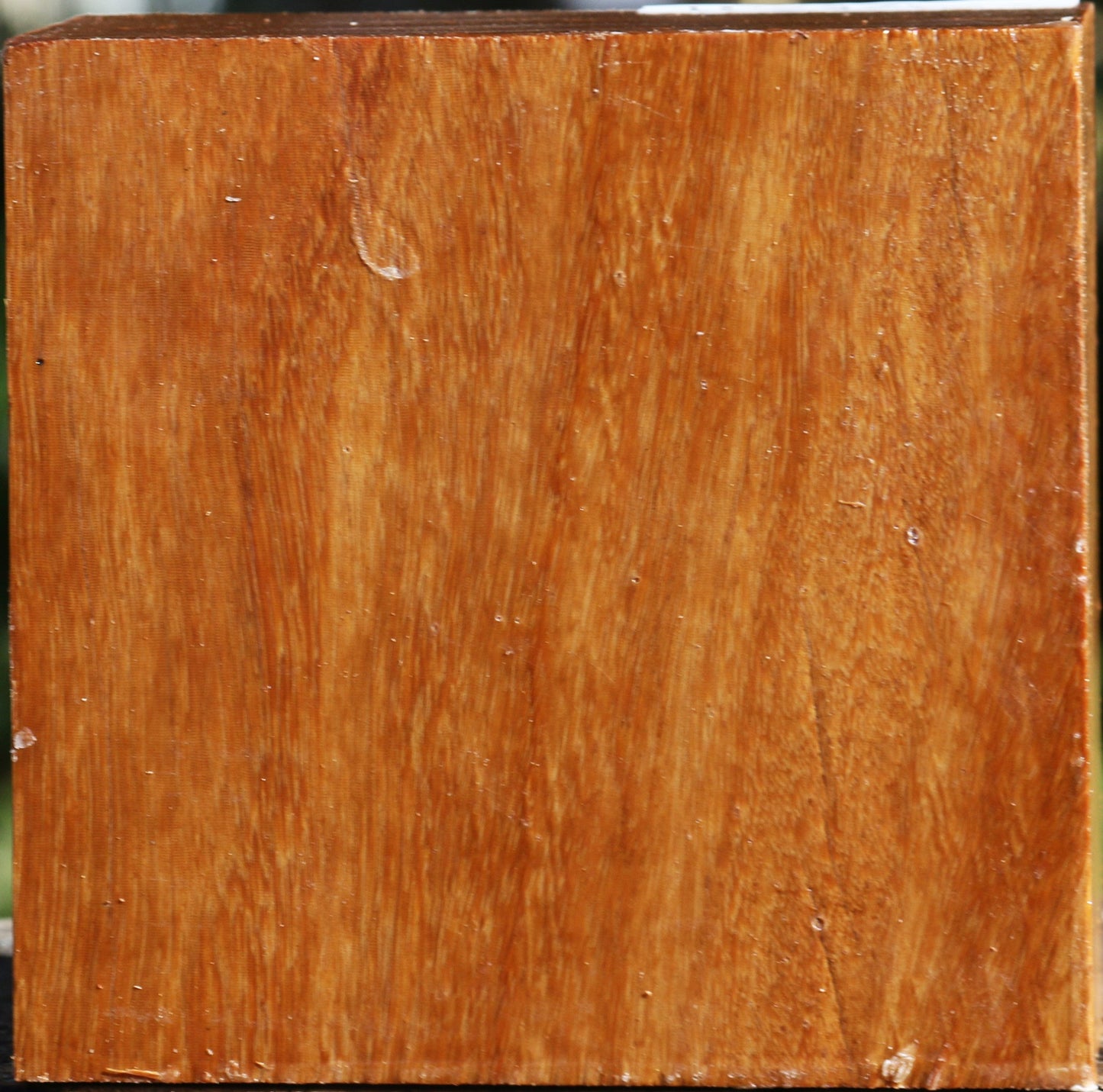 Red Cumaru Bowl Blank