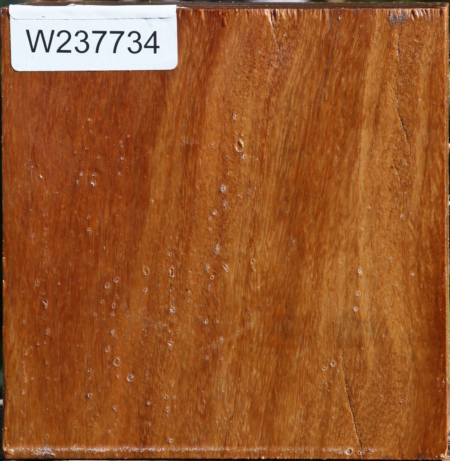 Red Cumaru Bowl Blank