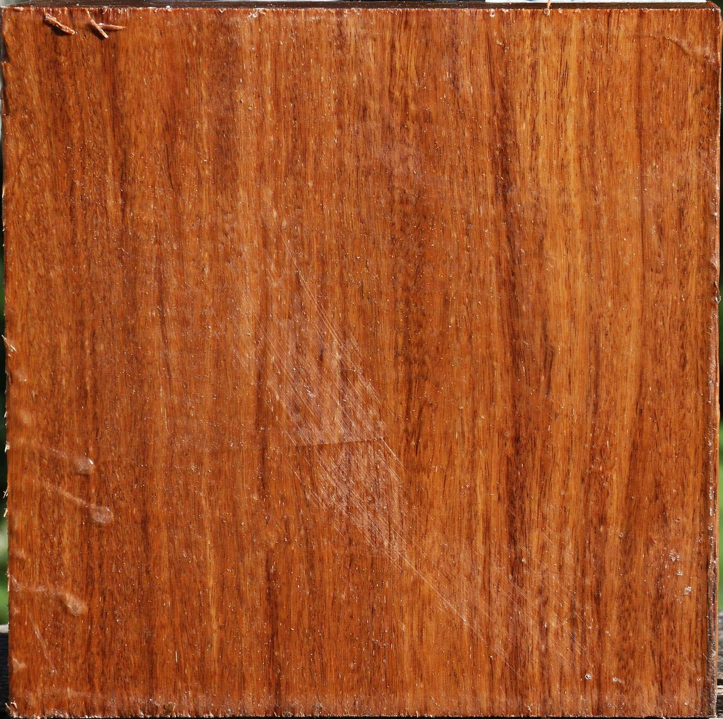 Red Cumaru Bowl Blank