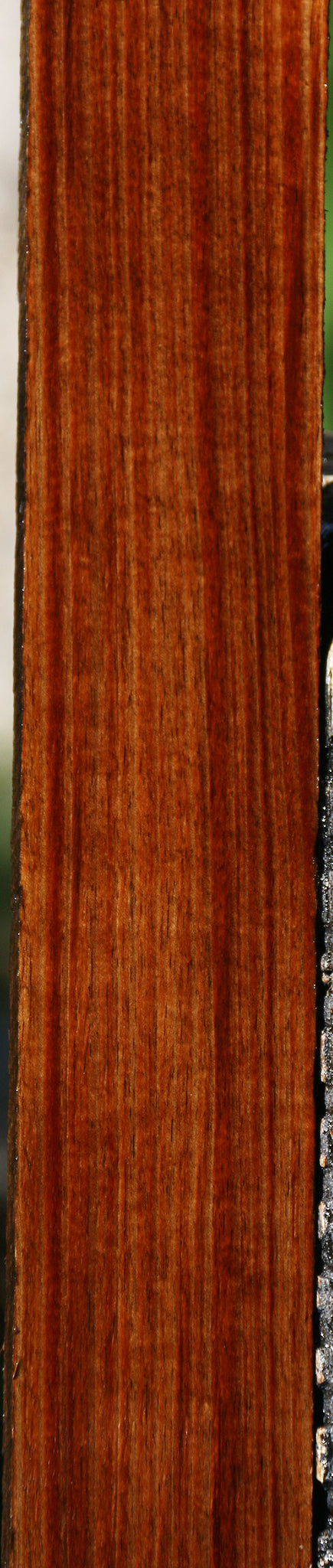 Figured Tasmanian Blackwood Lumber