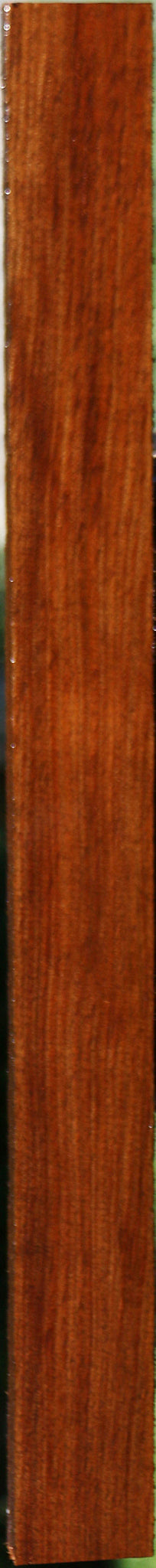 Tasmanian Blackwood Lumber