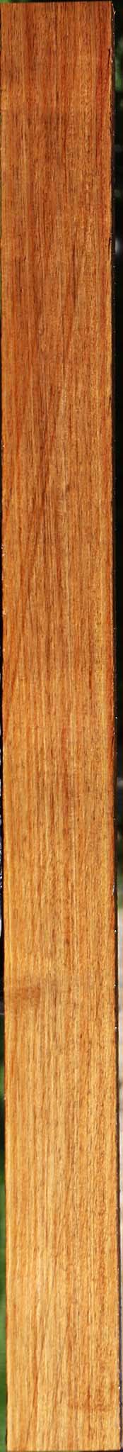 Tasmanian Blackwood Lumber