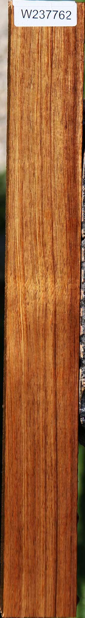 Figured Tasmanian Blackwood Lumber