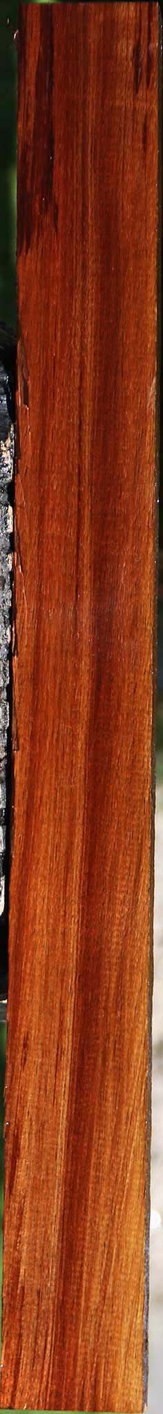 Figured Tasmanian Blackwood Lumber