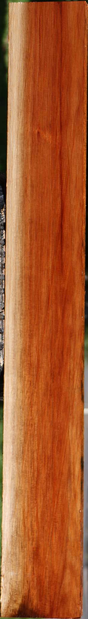 Tasmanian Blackwood Lumber