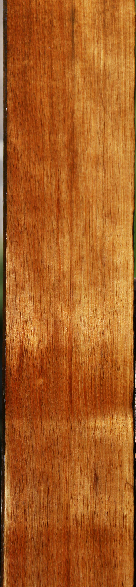 Tasmanian Blackwood Lumber