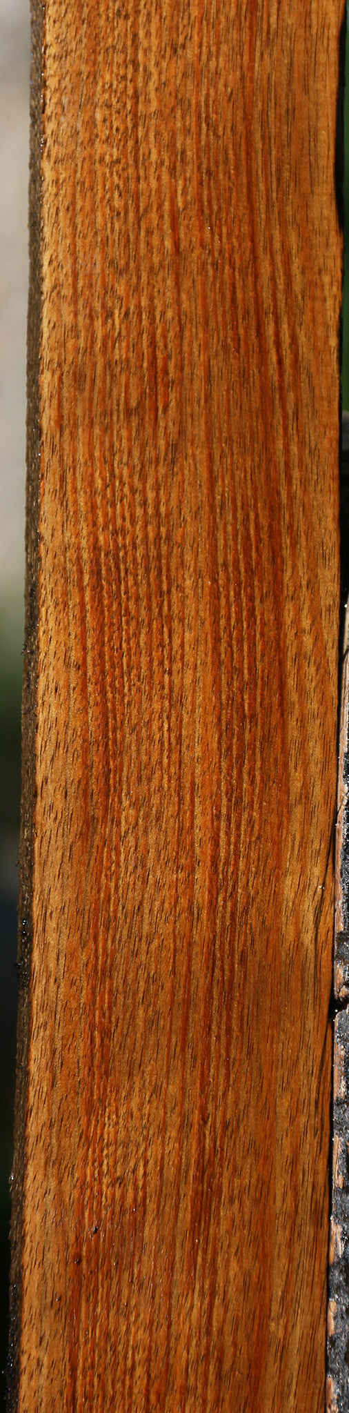 Tasmanian Blackwood Lumber