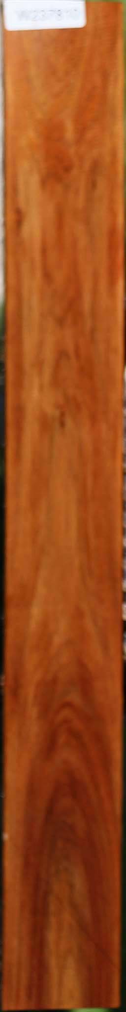 Tasmanian Blackwood Lumber