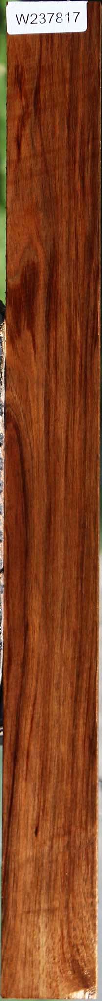 Tasmanian Blackwood Micro Lumber