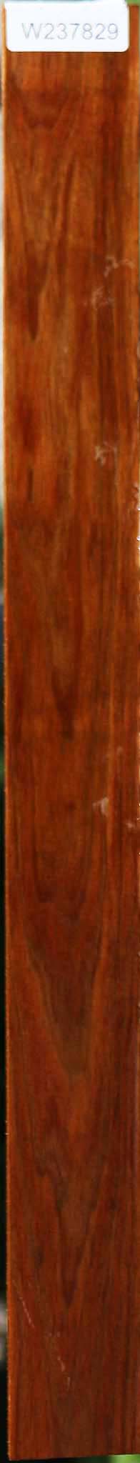 Tasmanian Blackwood Micro Lumber