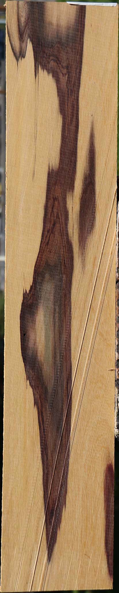 Figured Brazilian Ebony Micro Lumber