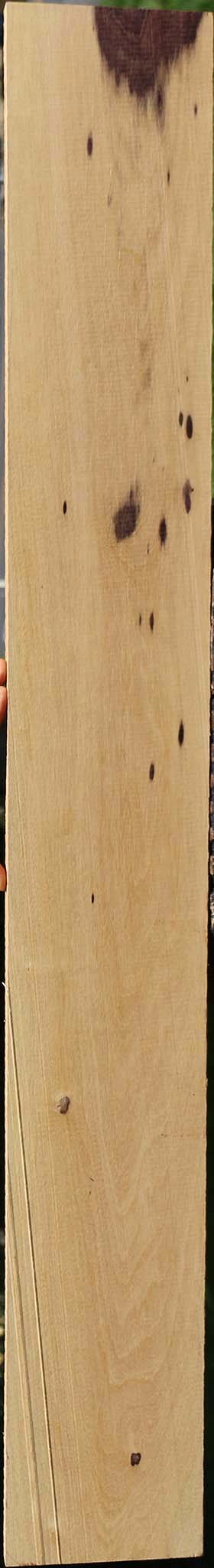 Brazilian Ebony Lumber