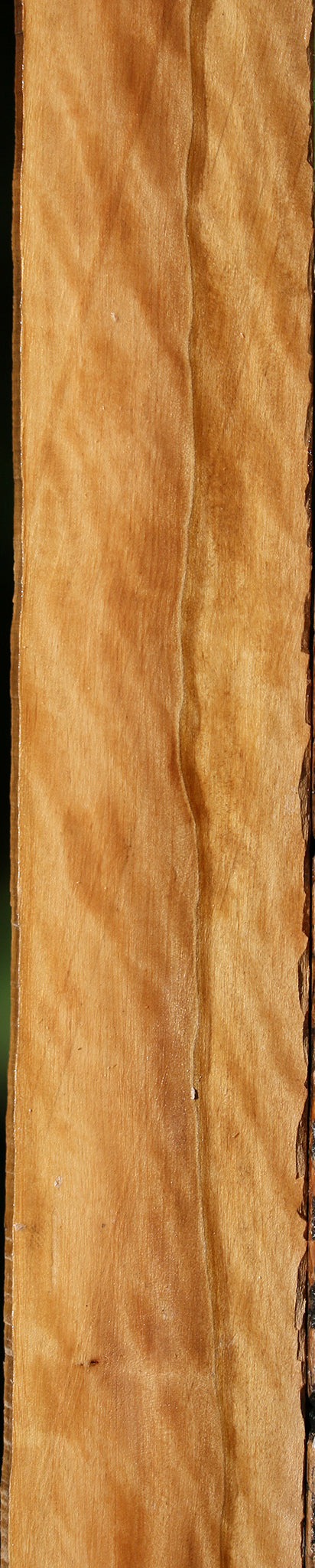 Extra Fancy Castello Boxwood Micro Lumber