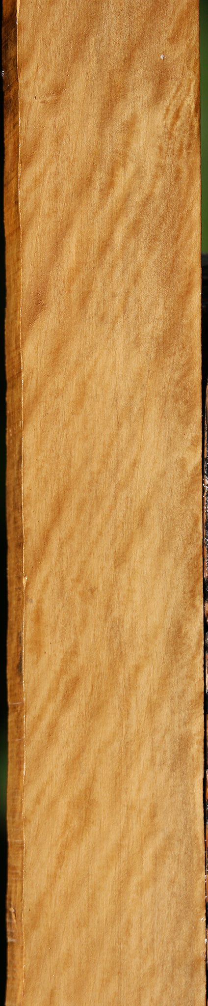 Extra Fancy Castello Boxwood Lumber