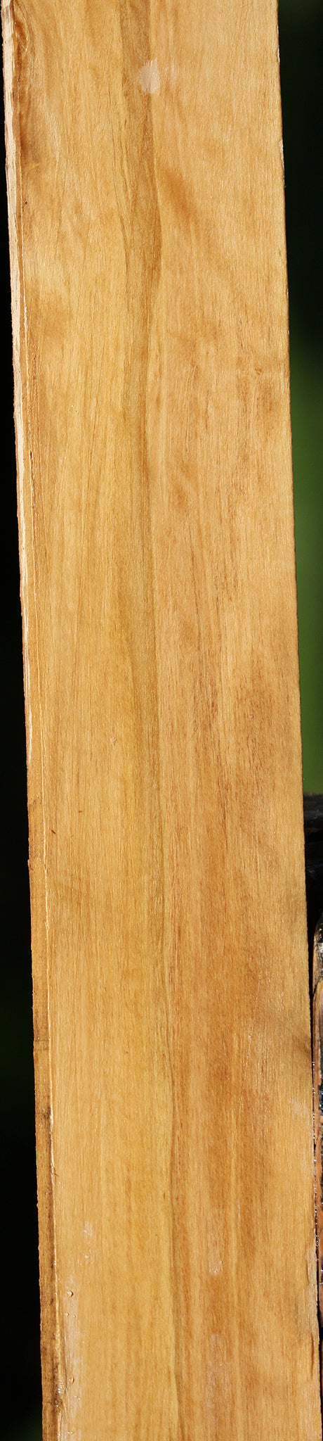 Castello Boxwood Lumber