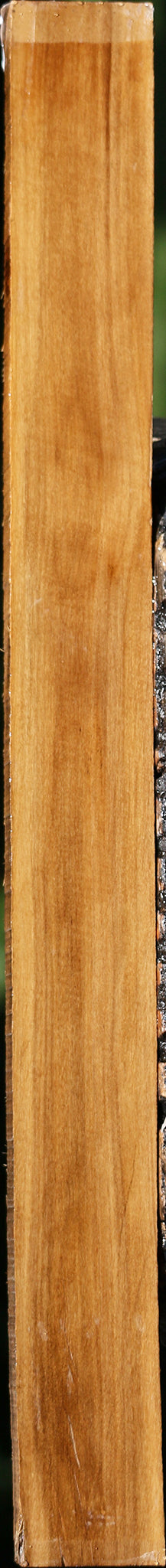 Castello Boxwood Lumber