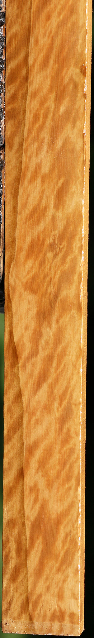 Extra Fancy Castello Boxwood Lumber