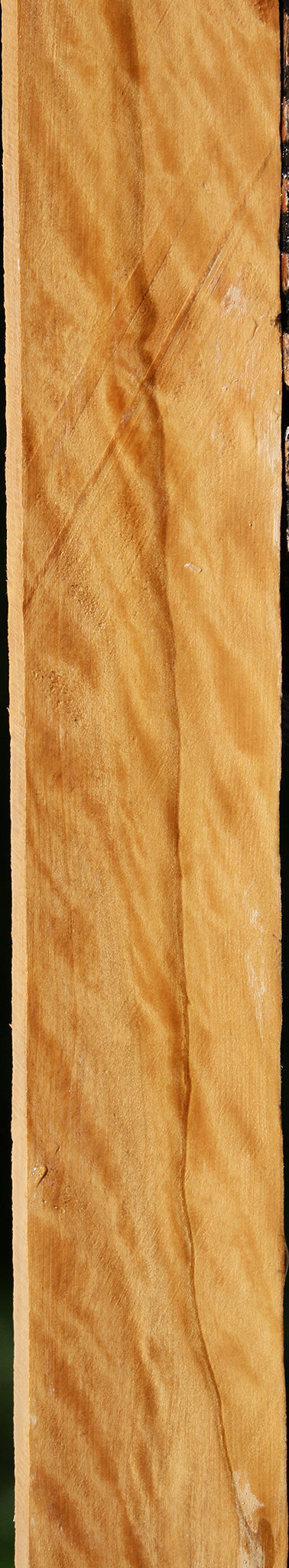 Extra Fancy Castello Boxwood Lumber