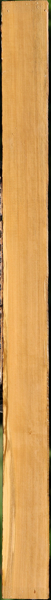 Castello Boxwood Lumber