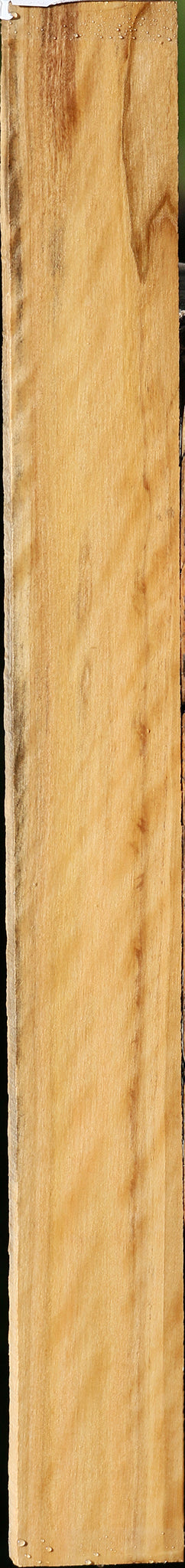 Extra Fancy Castello Boxwood Micro Lumber