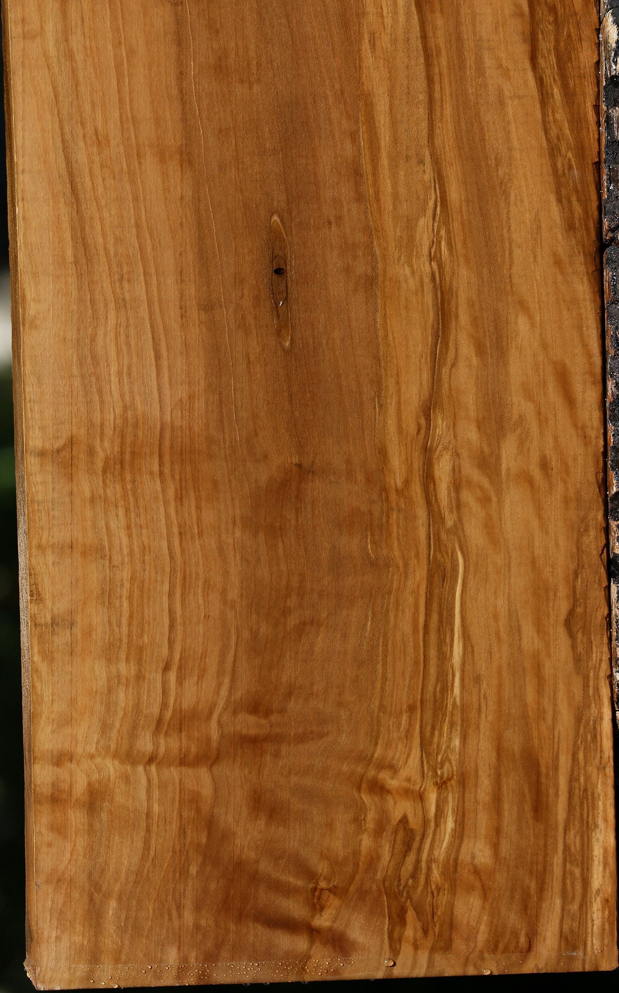 Figured Castello Boxwood Lumber