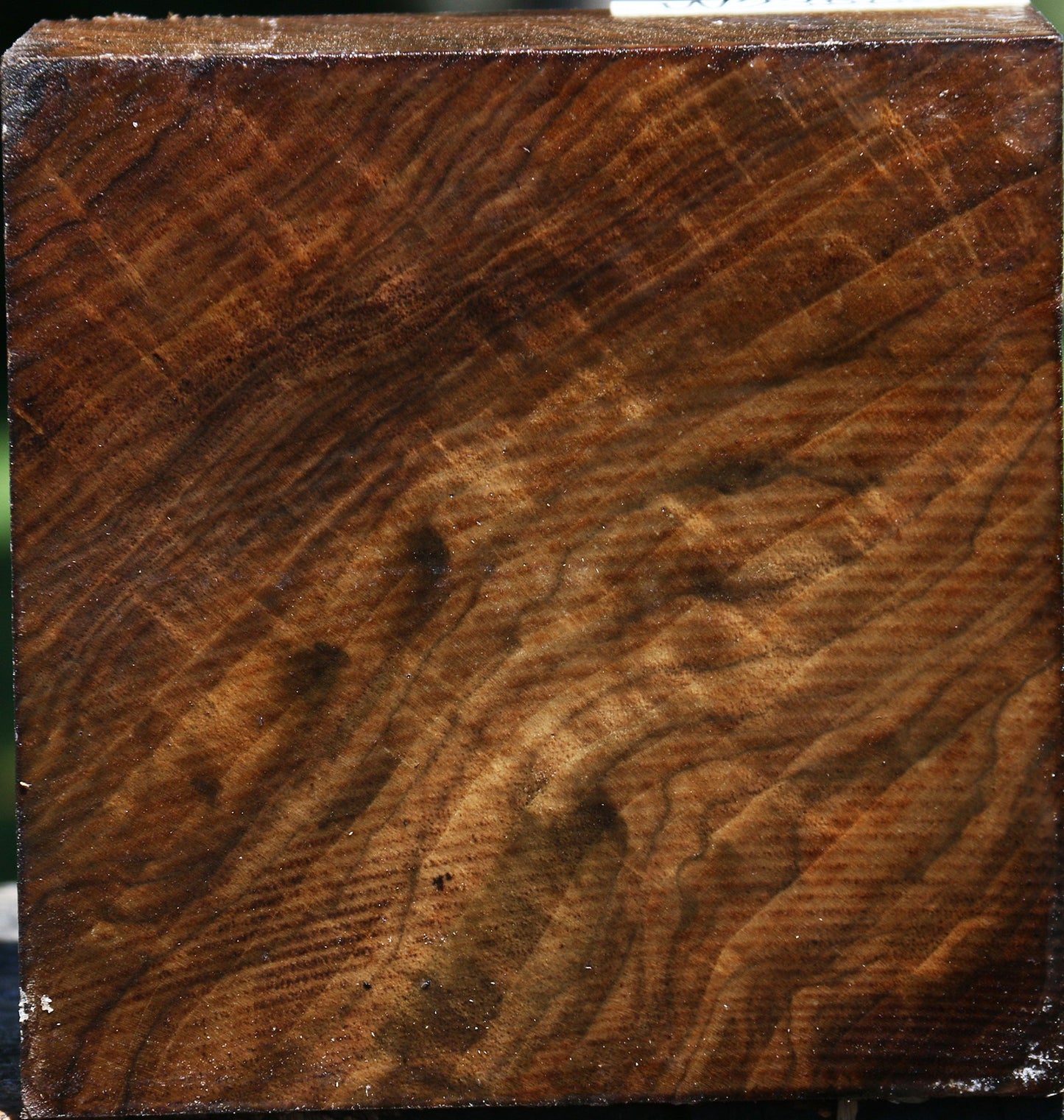 Figured Claro Walnut Bowl Blank