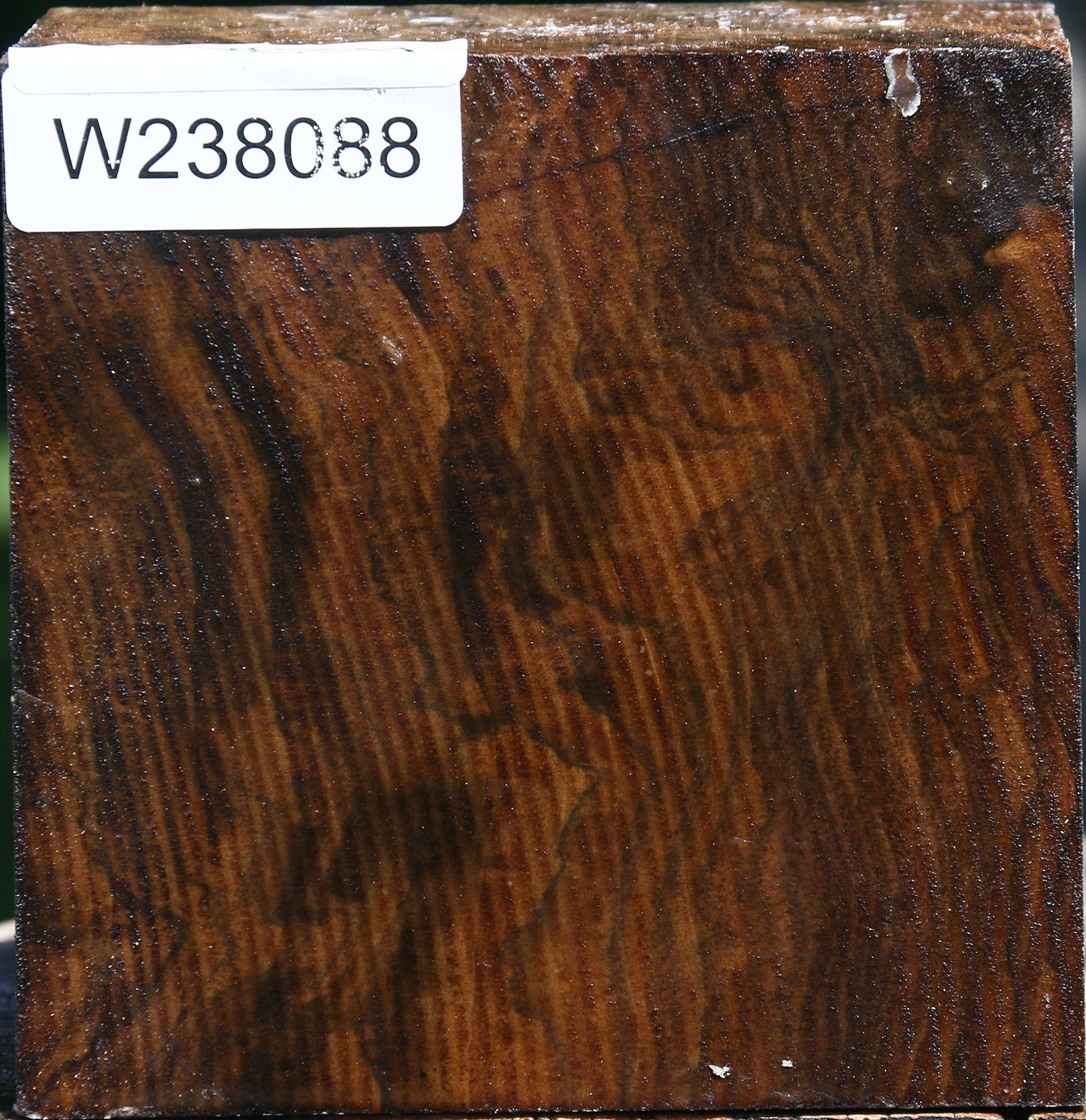 Extra Fancy Claro Walnut Bowl Blank