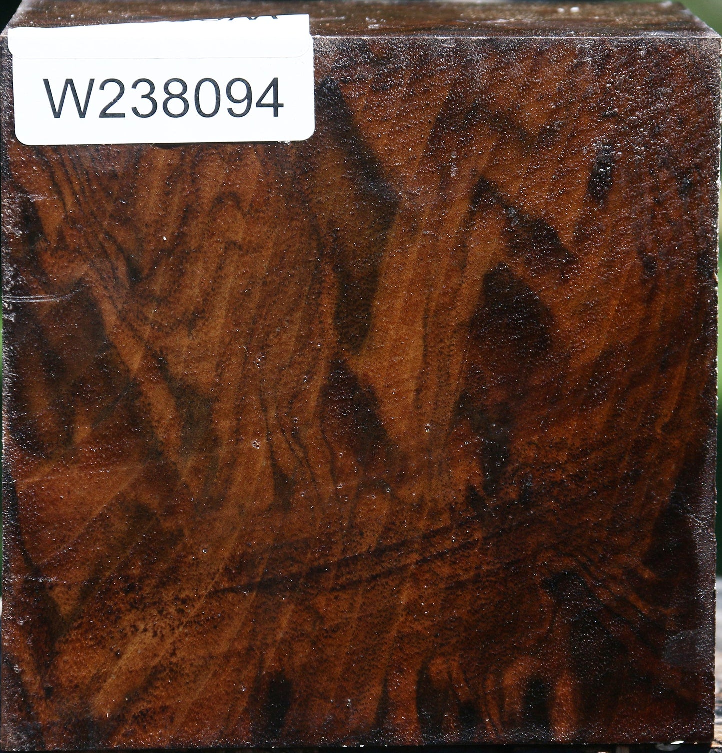 Extra Fancy Claro Walnut Bowl Blank